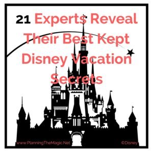 disney experts