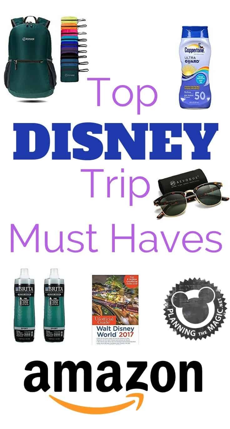 top things for disney trip