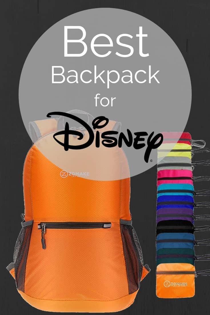 Best Backpack for Disney