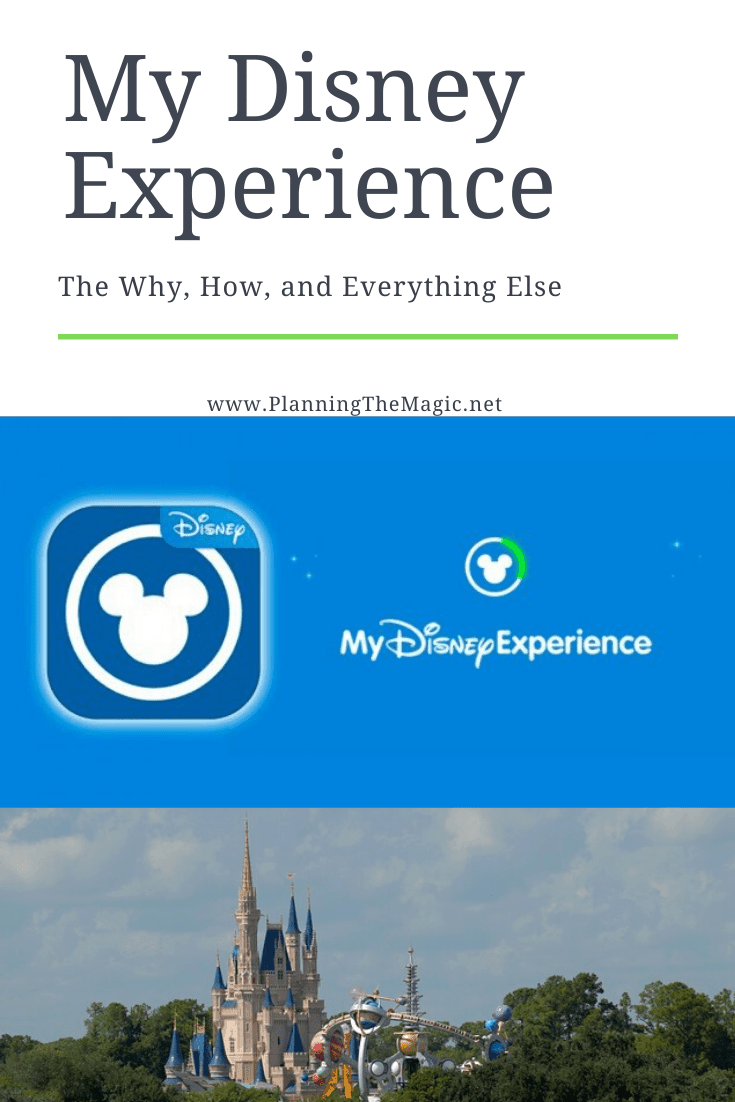 my disney experience