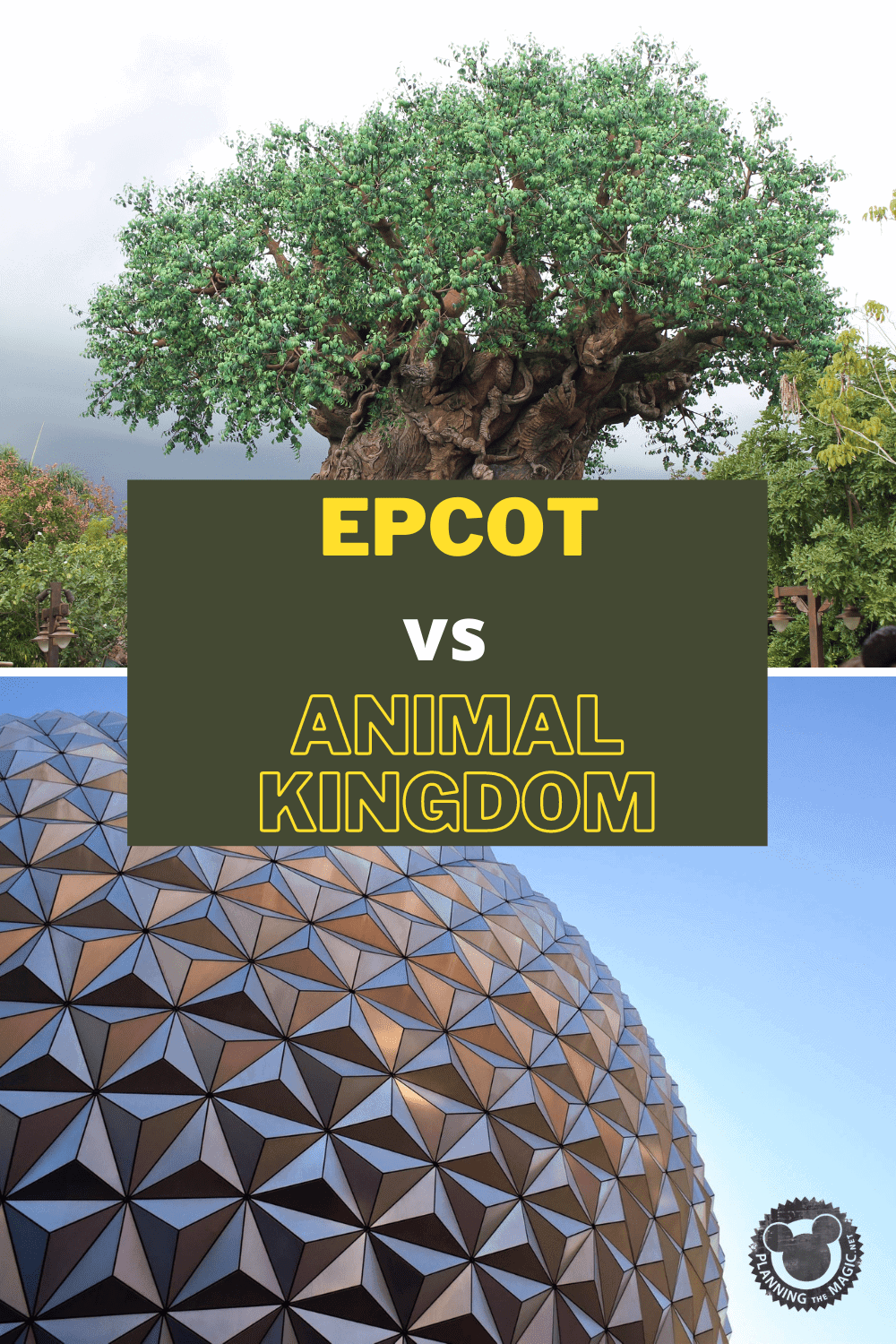 Epcot vs Animal Kingdom