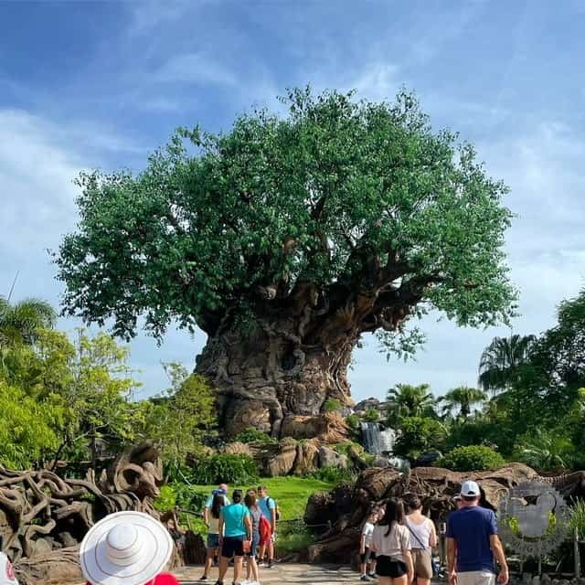 animal kingdom itinerary