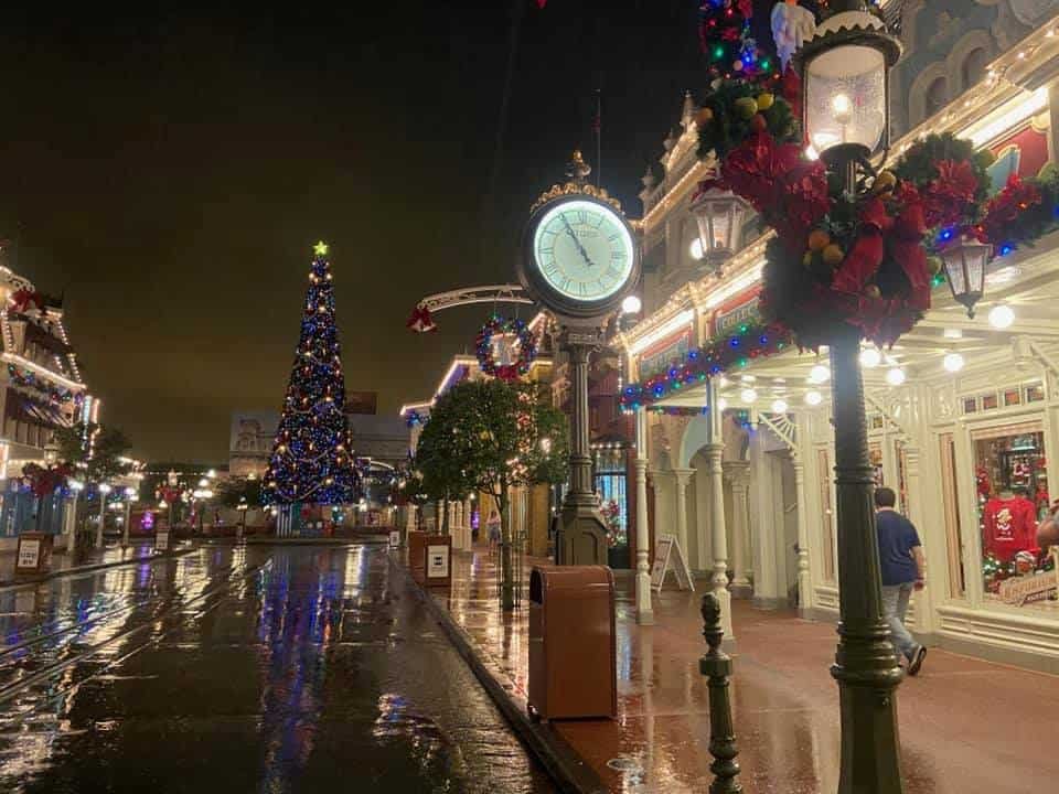 drinking alcohol in magic kingdom