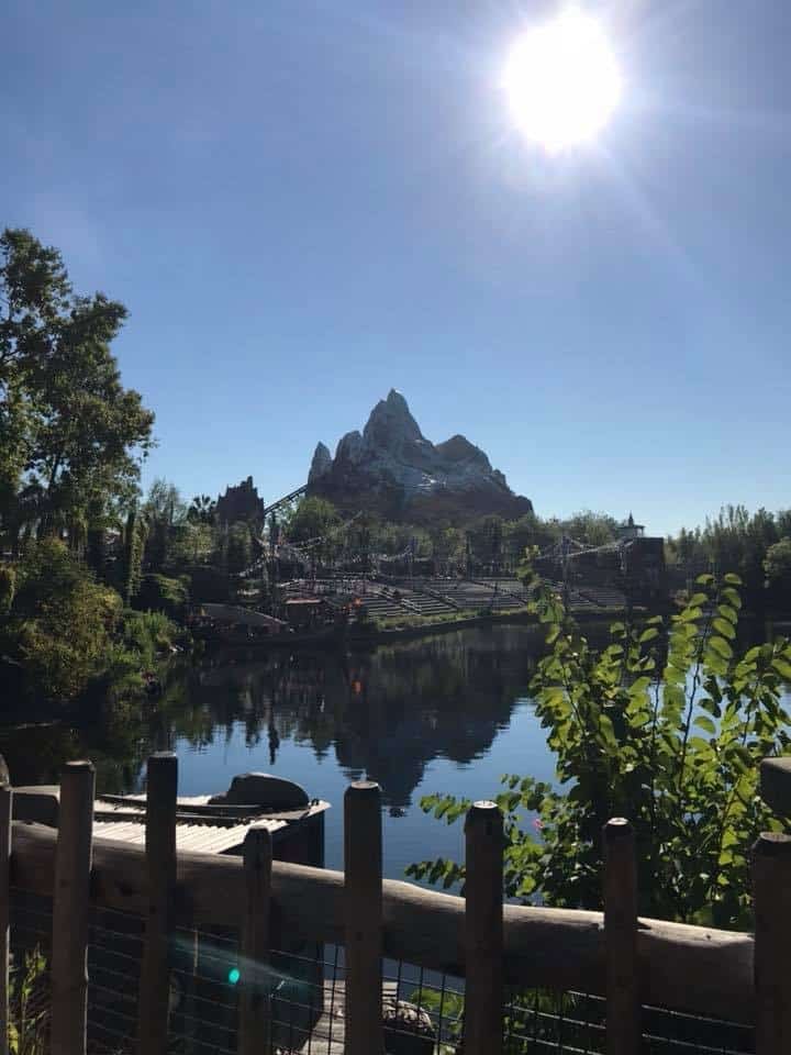 Best Day to Visit Animal Kingdom