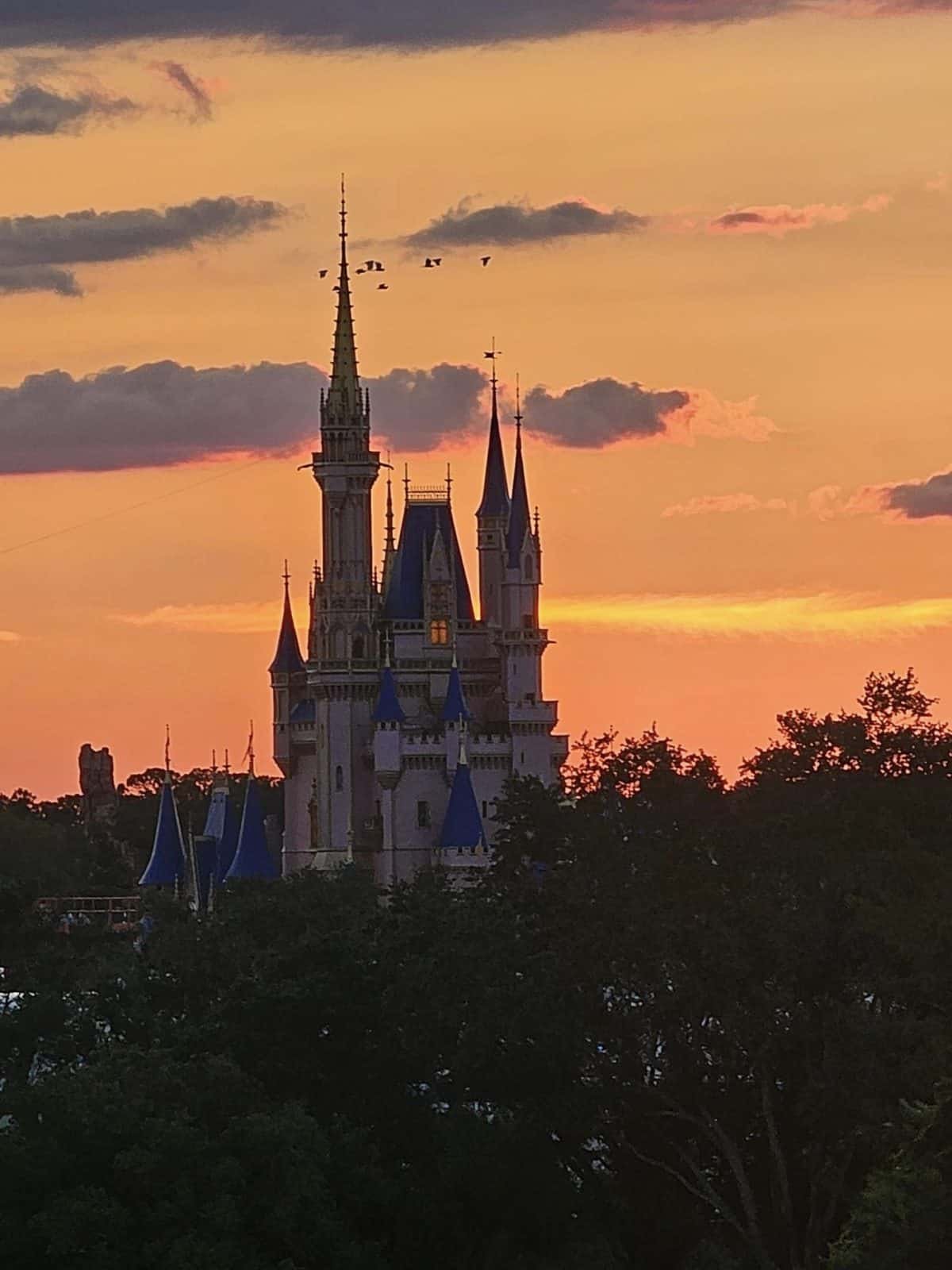 magic kingdom while pregnant