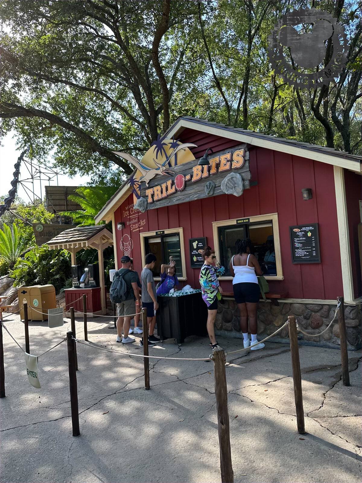 best desserts at animal kingdom