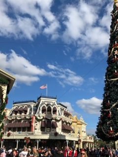 disney very merriest after hours