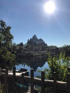 Best Day to Visit Animal Kingdom