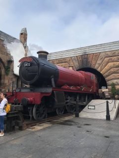 harry potter world