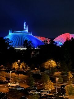 teenagers at disney world